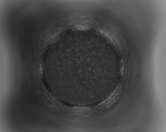 X0000097821397200803201428