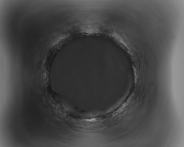 X0000097821398200803201428