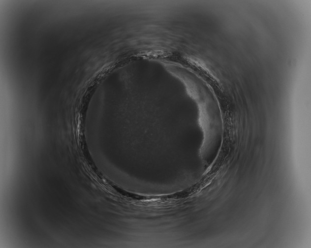 X0000097821399200803201428