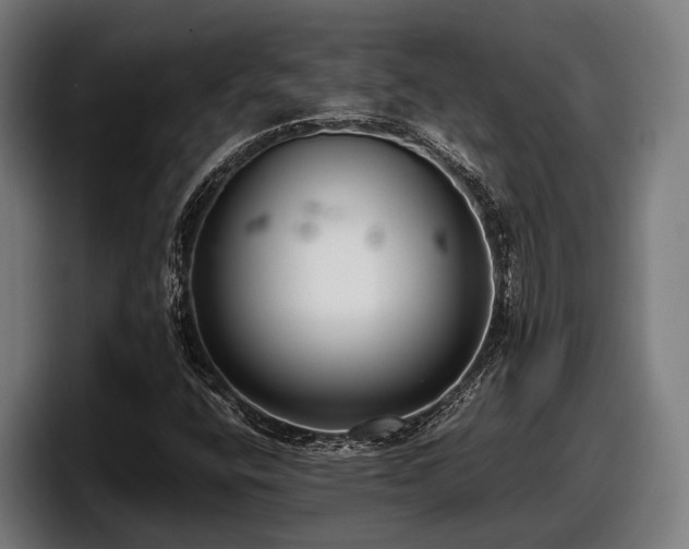 X0000097821400200803201428