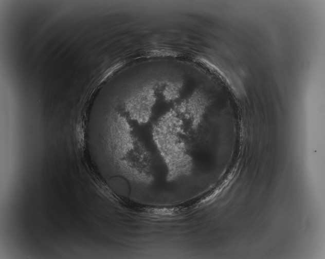 X0000097821401200803201428