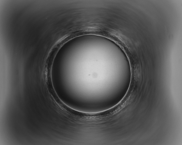 X0000097821402200803201428