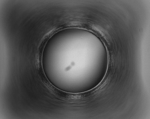 X0000097821403200803201428