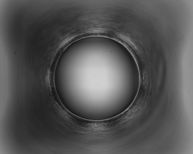 X0000097821404200803201428