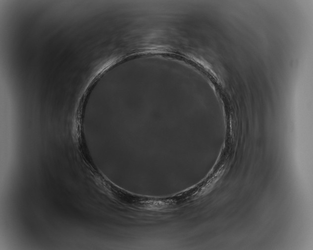 X0000097821405200803201428