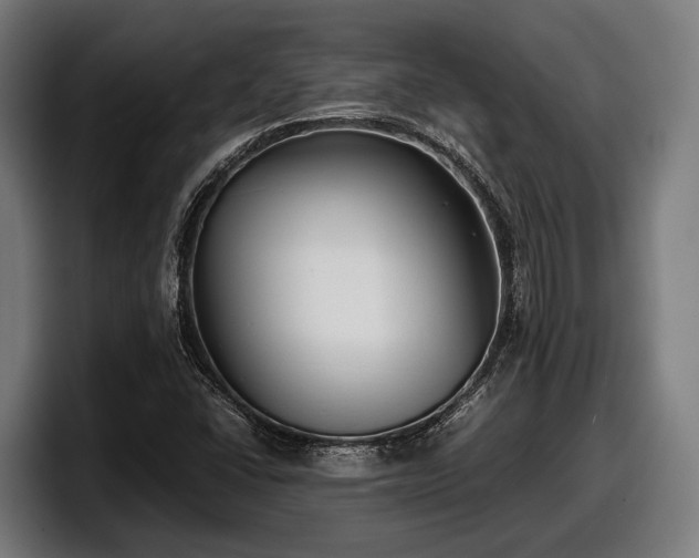 X0000097821406200803201428