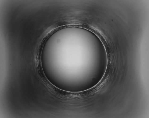 X0000097821407200803201428