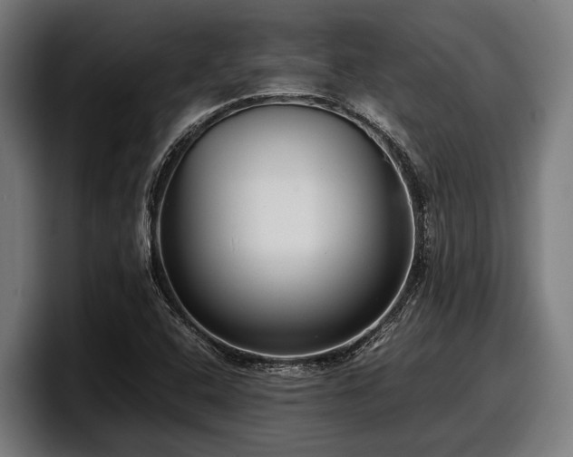 X0000097821408200803201428