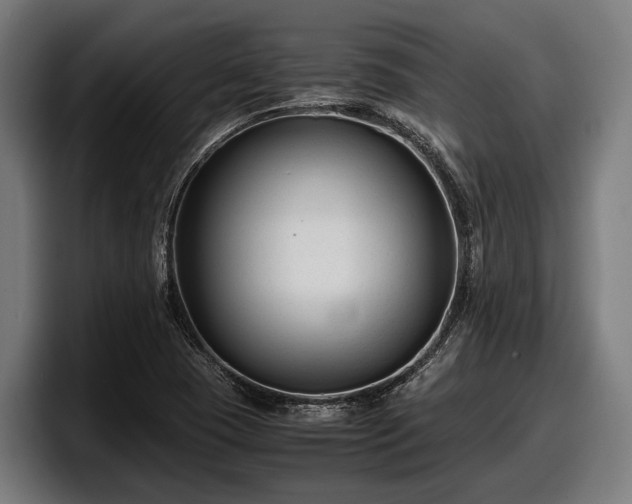 X0000097821409200803201428