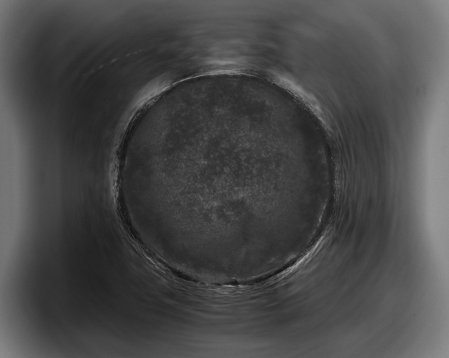 X0000097821411200803201428