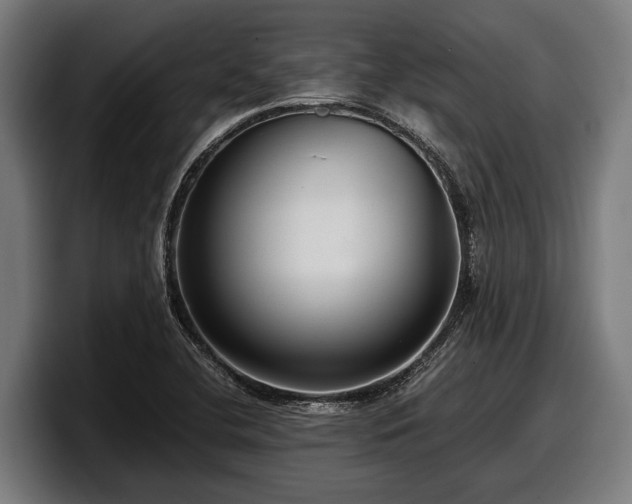 X0000097821412200803201428