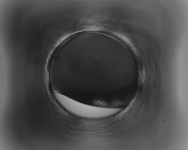 X0000097821414200803201428