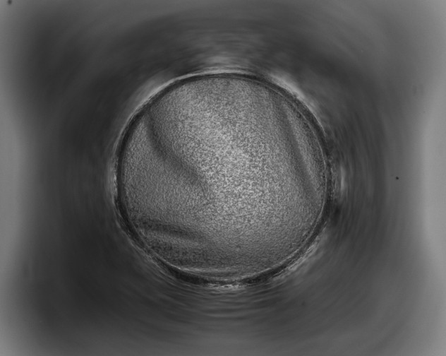 X0000097821415200803201428