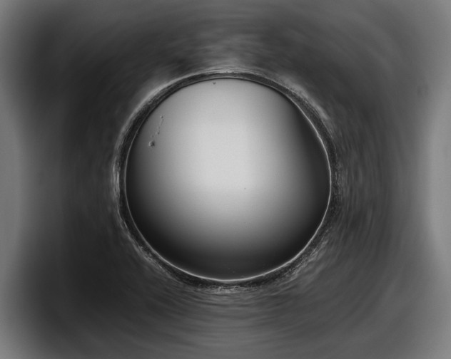 X0000097821416200803201428