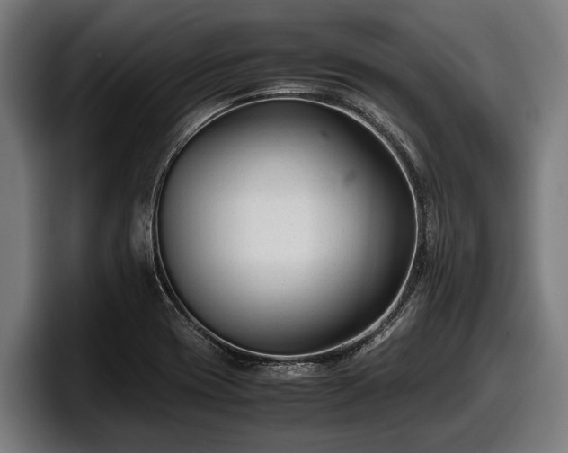 X0000097821417200803201428