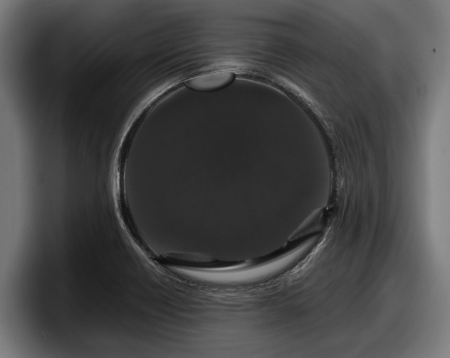 X0000097821418200803201428