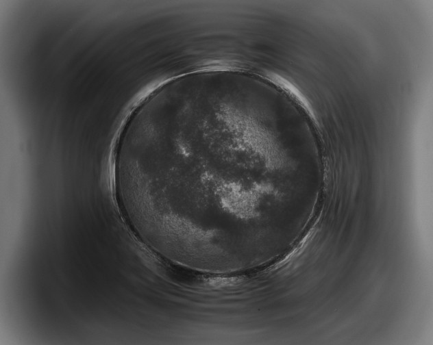 X0000097821419200803201428