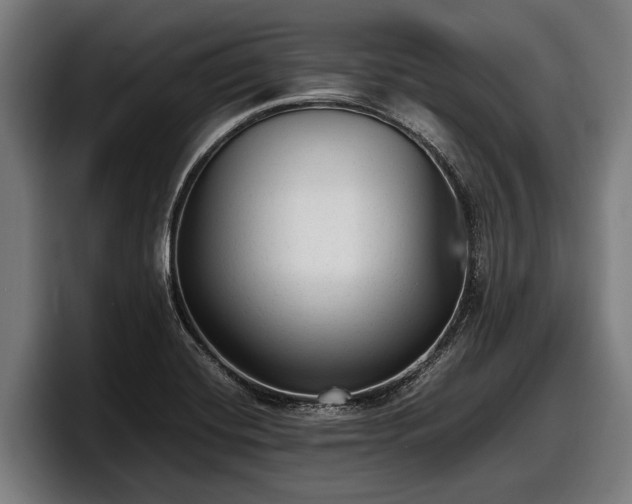 X0000097821420200803201428