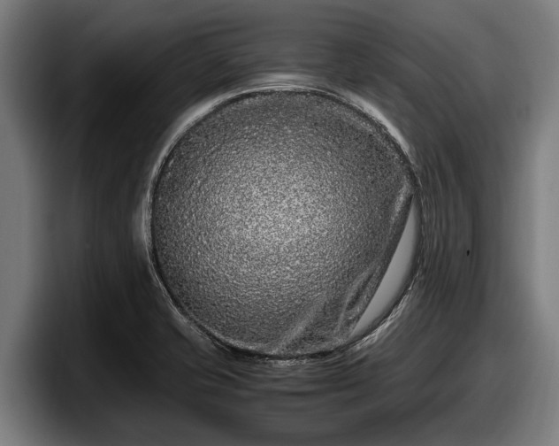 X0000097821421200803201428