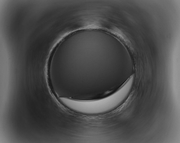 X0000097821422200803201428