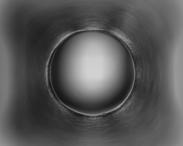 X0000097821423200803201428