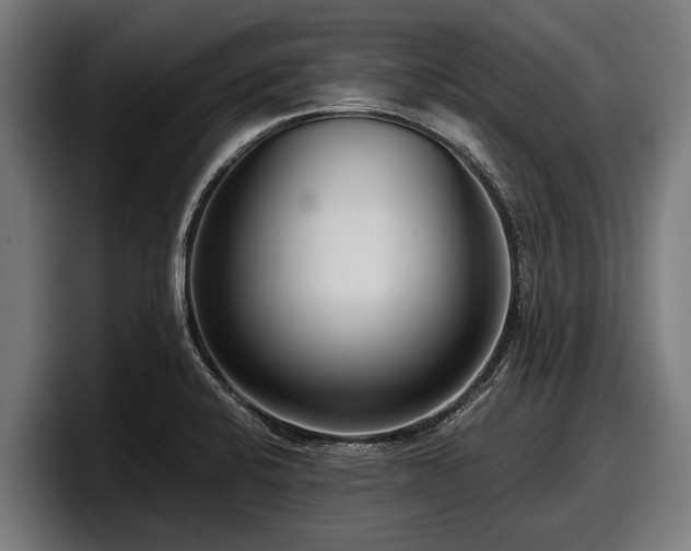 X0000097821424200803201428