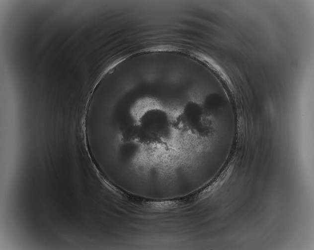 X0000097821425200803201428