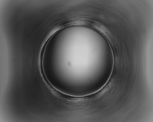 X0000097821426200803201428