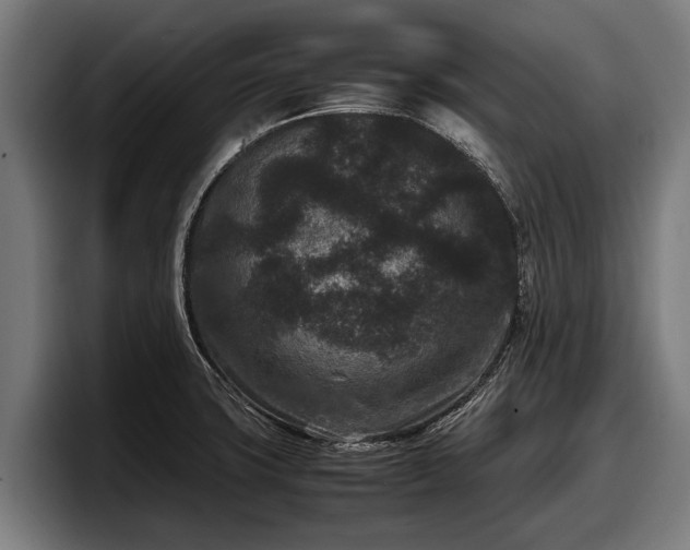 X0000097821427200803201428