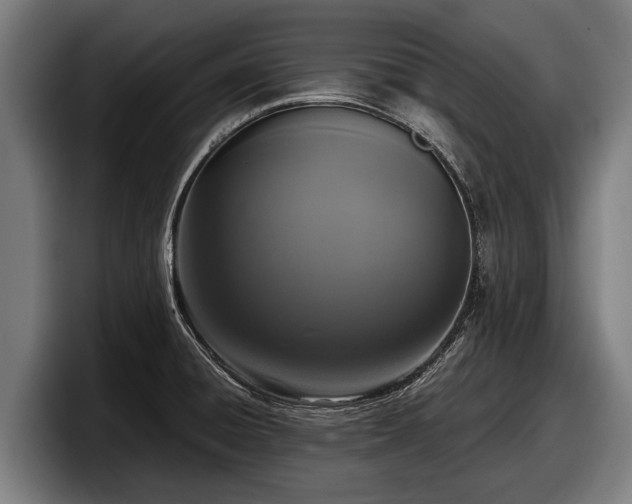 X0000097821428200803201428