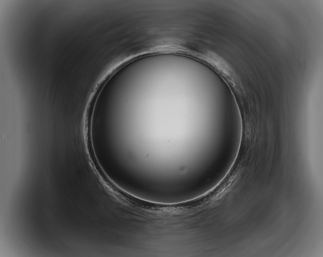 X0000097821430200803201428