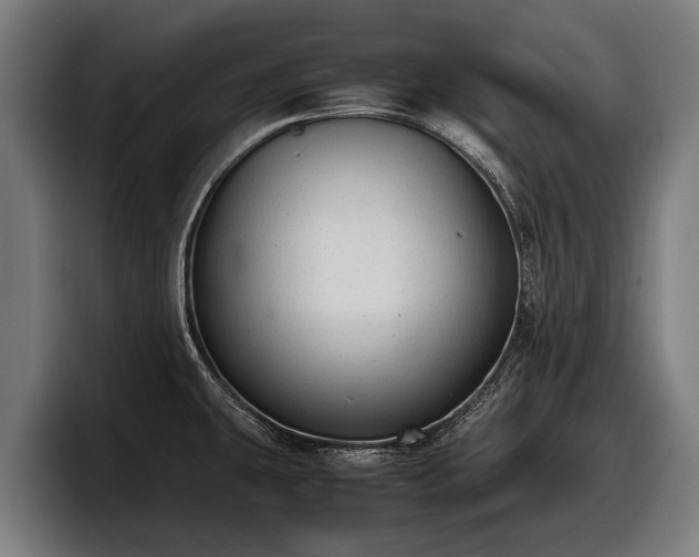 X0000097821431200803201428