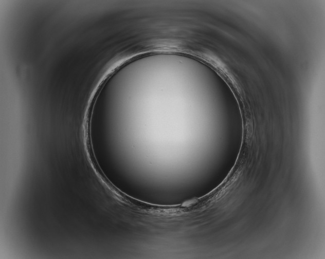 X0000097821432200803201428