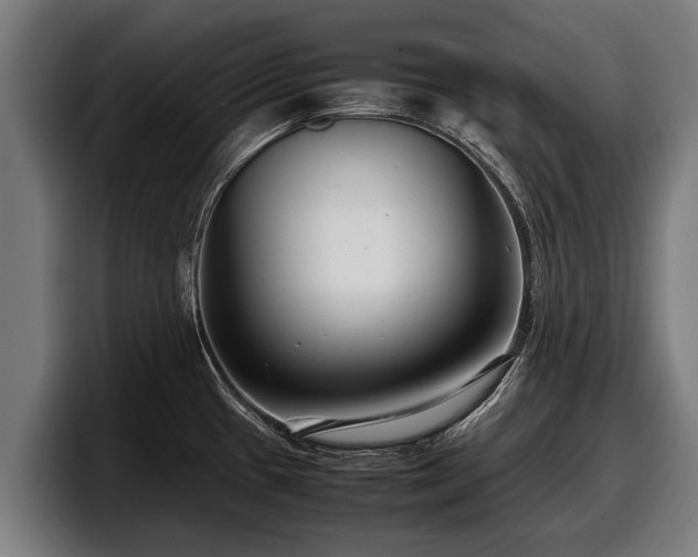 X0000097821433200803201428