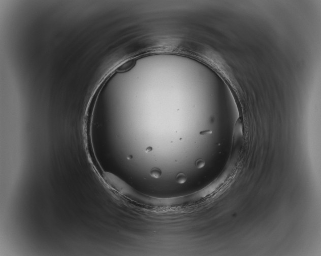 X0000097821434200803201428