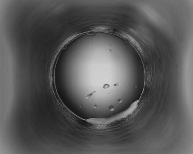 X0000097821435200803201428