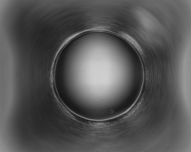 X0000097821436200803201428