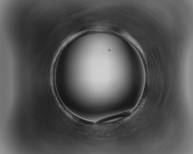 X0000097821437200803201429