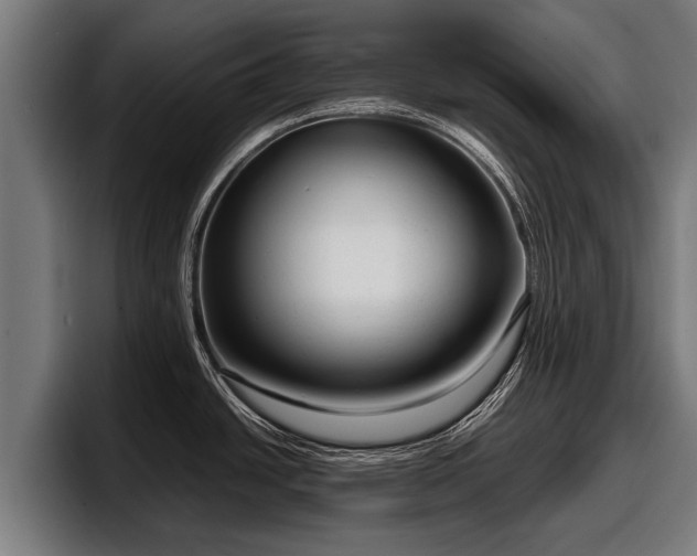 X0000097821438200803201429