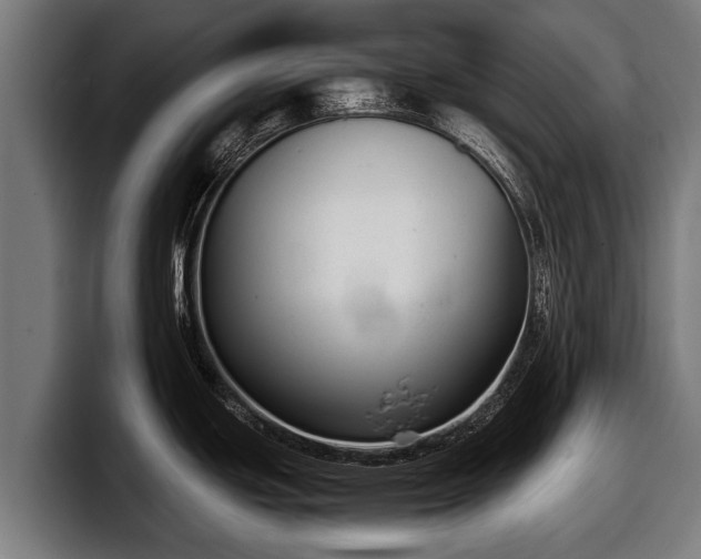 X0000097821439200803201429