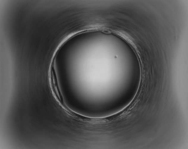 X0000097821440200803201429