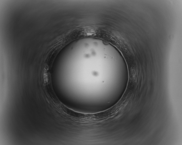 X0000097821442200803201428