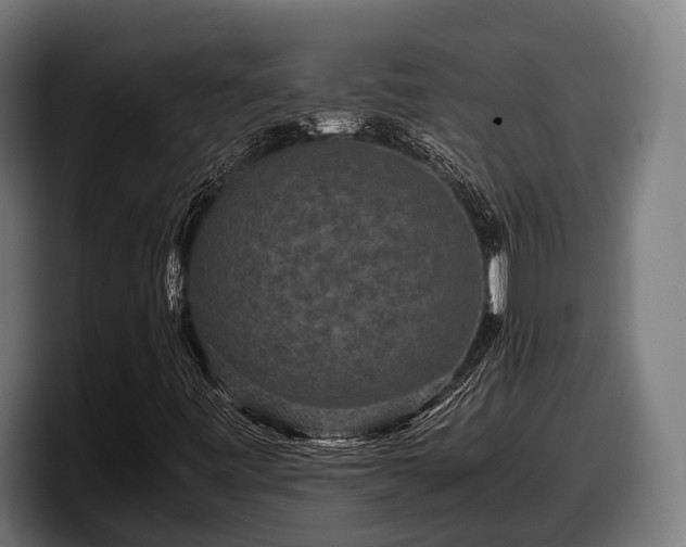 X0000097821443200803201428