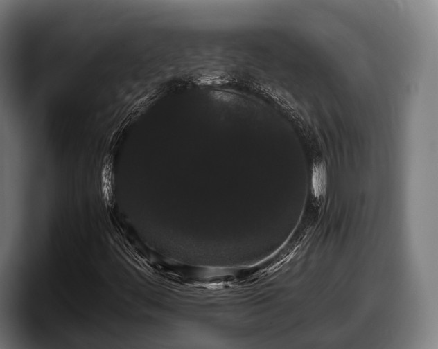 X0000097821444200803201428