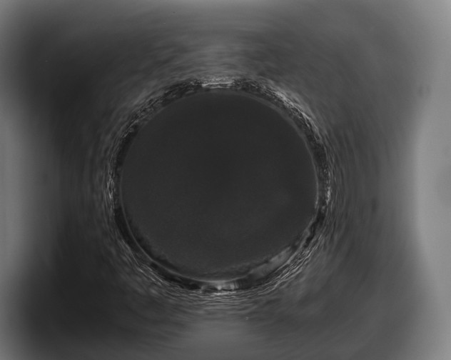 X0000097821445200803201428