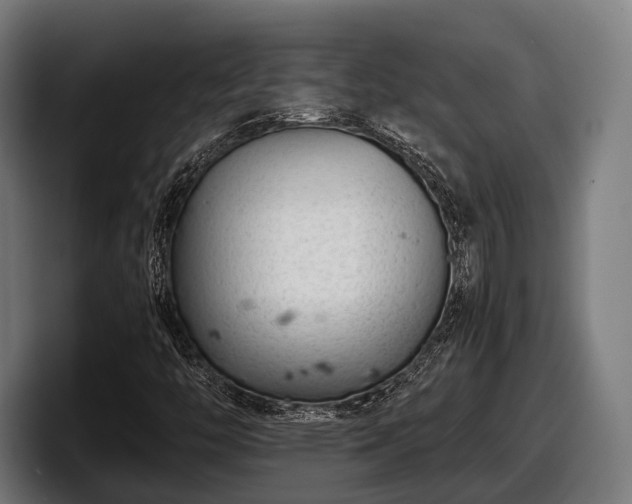 X0000097821446200803201428