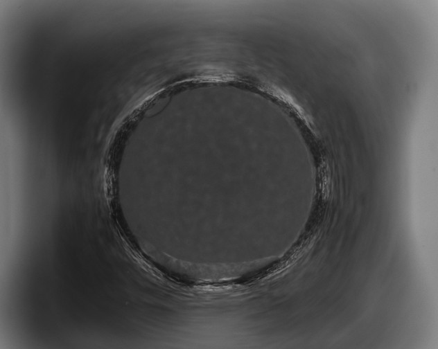 X0000097821448200803201428