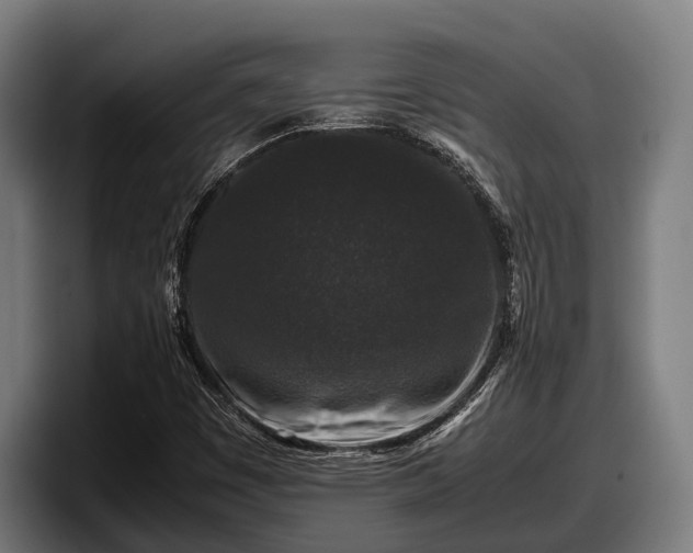 X0000097821449200803201428