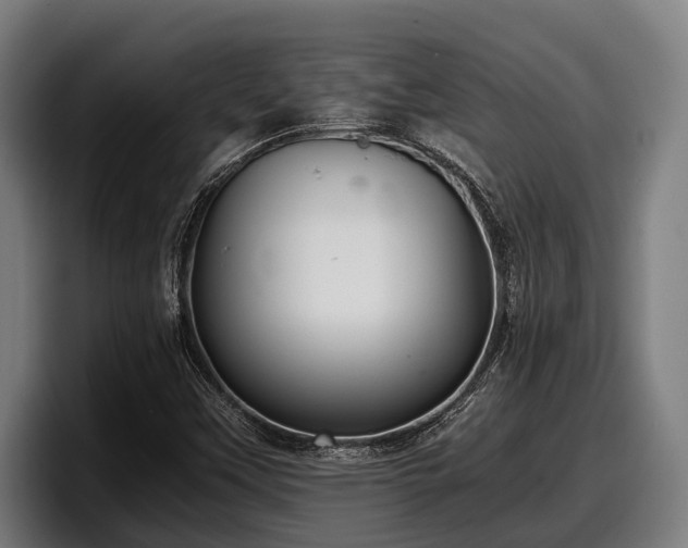 X0000097821451200803201428