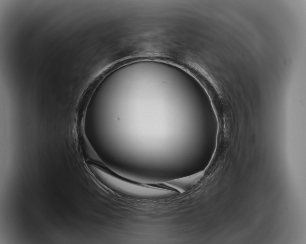 X0000097821452200803201428